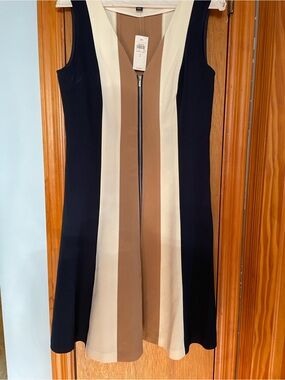 And Taylor fit and flare dress